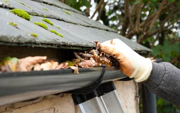 gutter cleaning Woodland