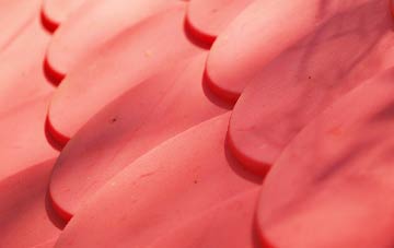 Woodland plastic roof costs