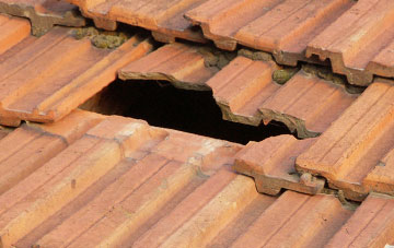 roof repair Woodland
