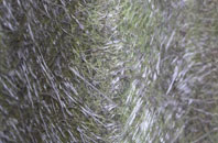 Woodland fibreglass roof work